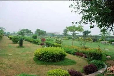 Landscaped Gardens